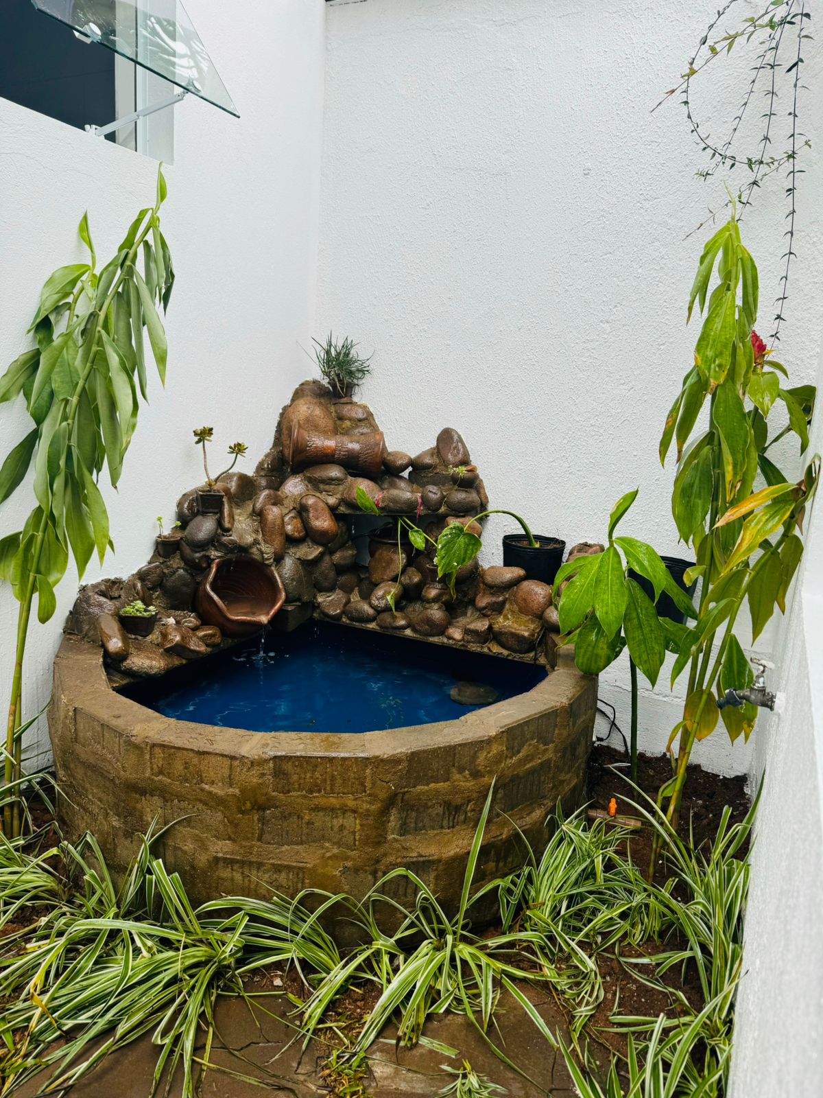 Jardim com fonte Unidade Pe. Dehon